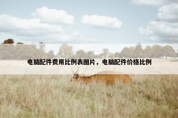 电脑配件费用比例表图片，电脑配件价格比例