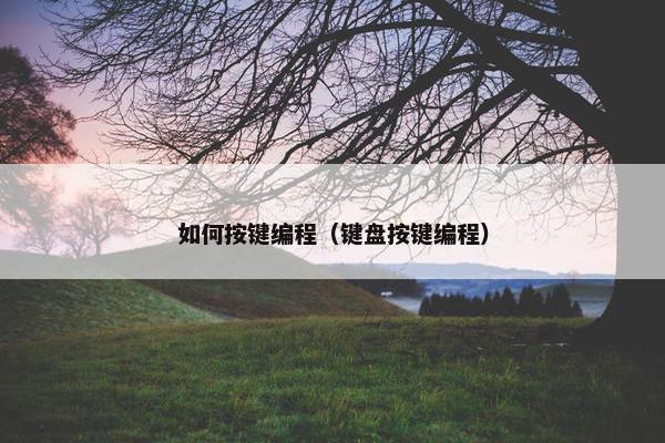 如何按键编程（键盘按键编程）