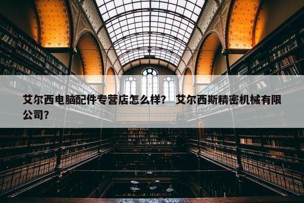 艾尔西电脑配件专营店怎么样？ 艾尔西斯精密机械有限公司？