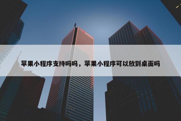 苹果小程序支持吗吗，苹果小程序可以放到桌面吗