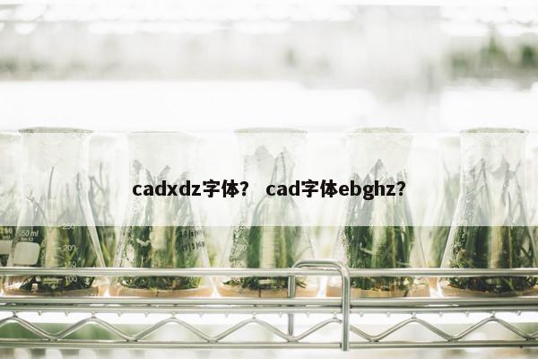 cadxdz字体？ cad字体ebghz？