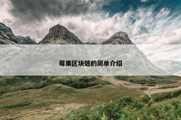 莓果区块链的简单介绍 莓果区块链的简单介绍