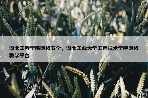 湖北工程学院网络安全，湖北工业大学工程技术学院网络教学平台