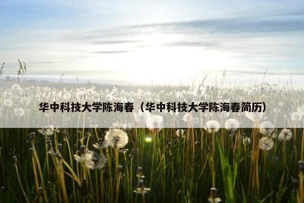 华中科技大学陈海春（华中科技大学陈海春简历）