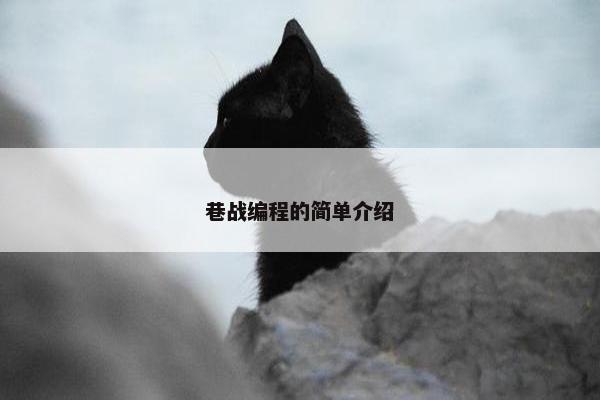 巷战编程的简单介绍