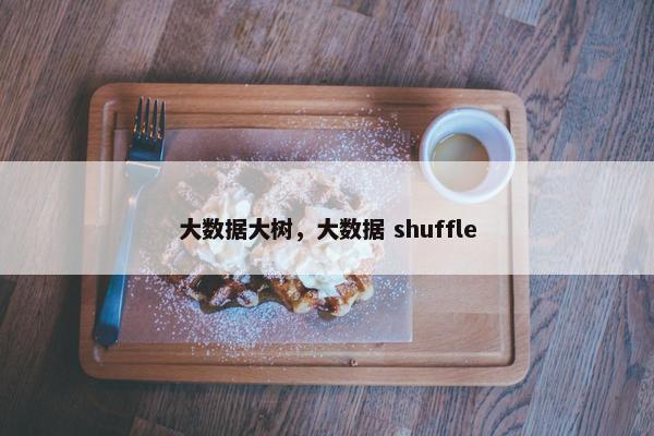 大数据大树，大数据 shuffle