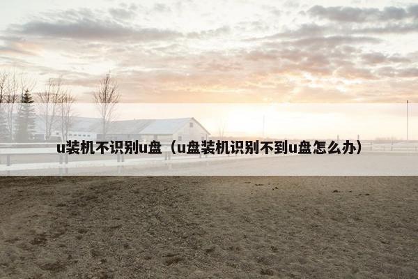 u装机不识别u盘（u盘装机识别不到u盘怎么办）