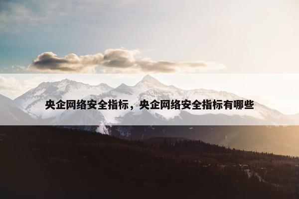 央企网络安全指标,央企网络安全指标有哪些 央企网络安全指标,央企网络安全指标有哪些