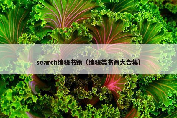 search编程书籍（编程类书籍大合集）
