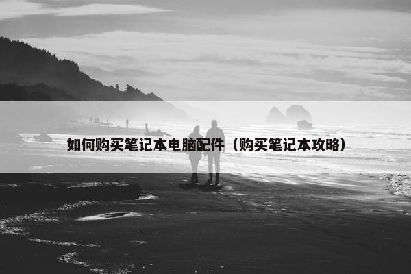 如何购买笔记本电脑配件(购买笔记本攻略) 如何购买笔记本电脑配件(购买笔记本攻略)