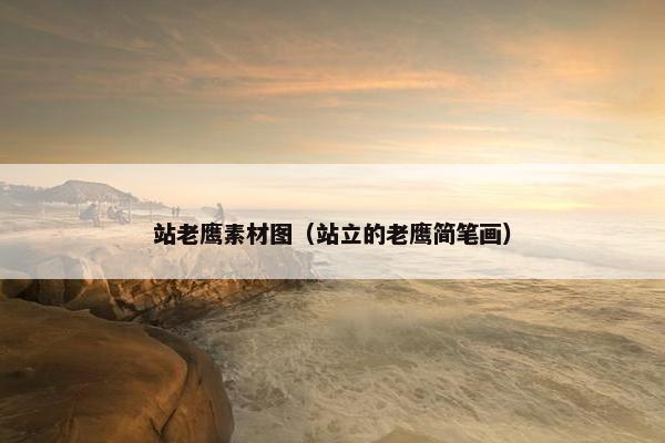 站老鹰素材图（站立的老鹰简笔画）