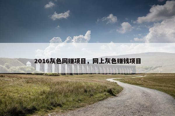2016灰色网赚项目，网上灰色赚钱项目