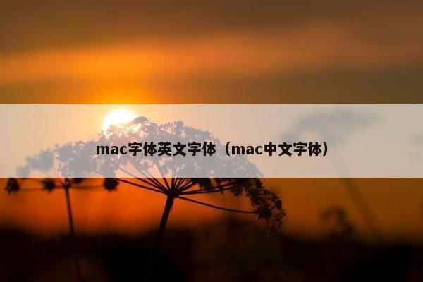 mac字体英文字体（mac中文字体）
