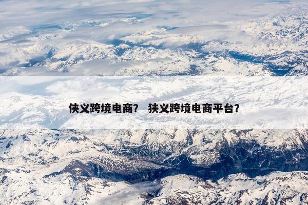 侠义跨境电商？ 狭义跨境电商平台？