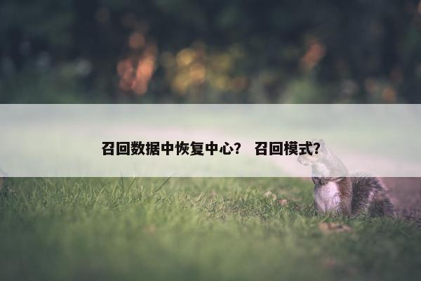 召回数据中恢复中心? 召回模式?