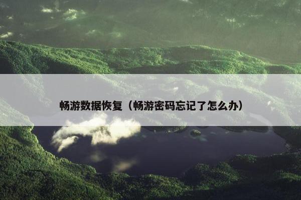 畅游数据恢复(畅游密码忘记了怎么办) 畅游数据恢复(畅游密码忘记了怎么办)