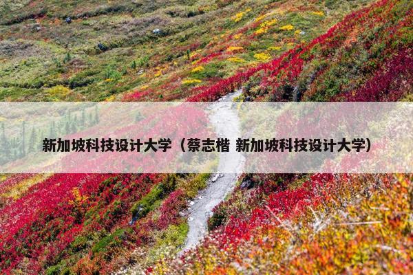 新加坡科技设计大学(蔡志楷 新加坡科技设计大学) 新加坡科技设计大学(蔡志楷 新加坡科技设计大学)