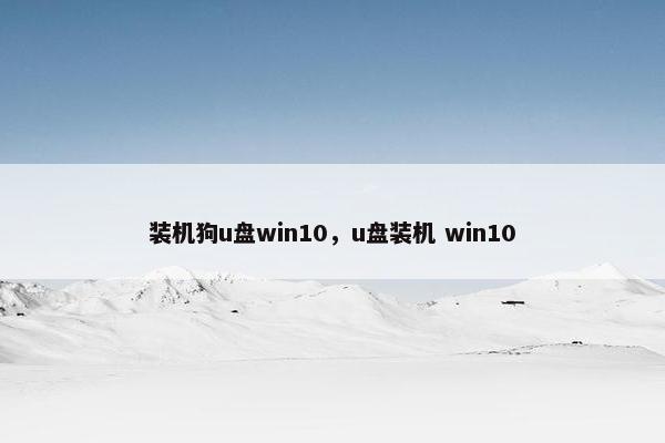 装机狗u盘win10，u盘装机 win10