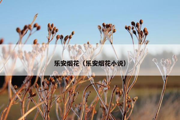 乐安烟花(乐安烟花小说) 乐安烟花(乐安烟花小说)