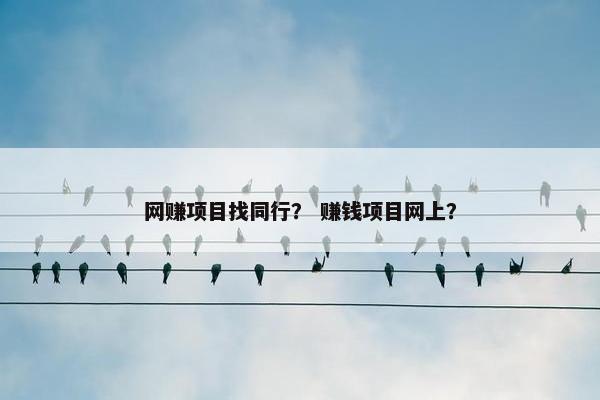 网赚项目找同行? 赚钱项目网上?