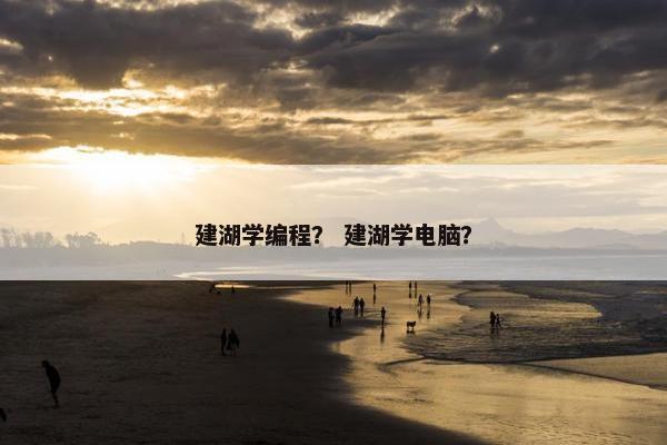 建湖学编程？ 建湖学电脑？