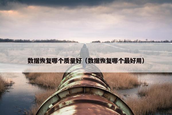 数据恢复哪个质量好（数据恢复哪个最好用）