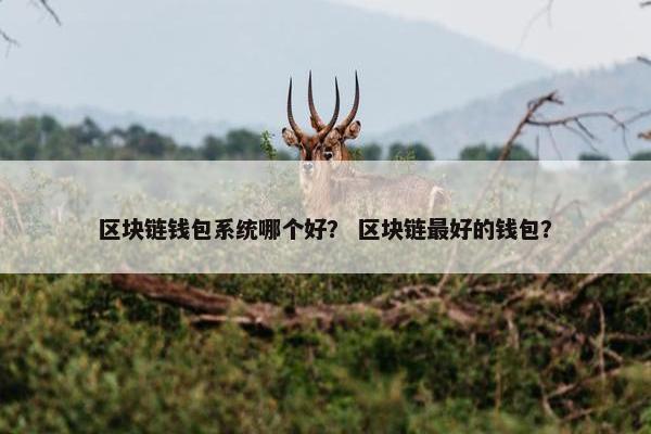 区块链钱包系统哪个好？ 区块链最好的钱包？