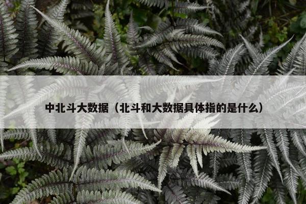 中北斗大数据（北斗和大数据具体指的是什么）