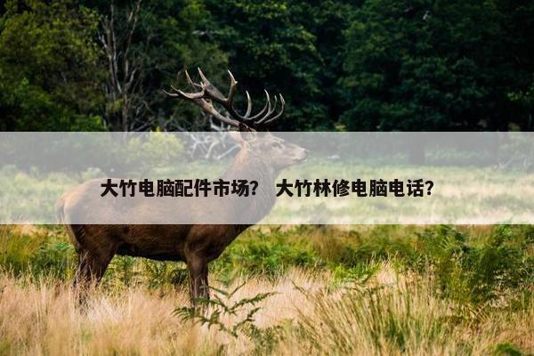 大竹电脑配件市场？ 大竹林修电脑电话？