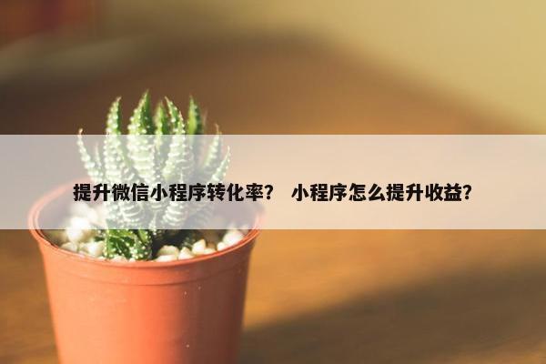 提升微信小程序转化率? 小程序怎么提升收益? 提升微信小程序转化率? 小程序怎么提升收益?