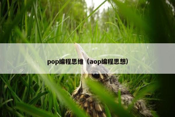 pop编程思维(aop编程思想) pop编程思维(aop编程思想)