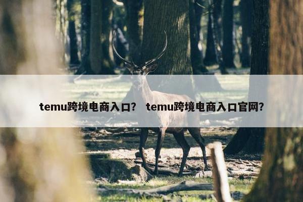 temu跨境电商入口? temu跨境电商入口官网?
