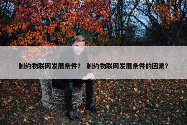 制约物联网发展条件？ 制约物联网发展条件的因素？