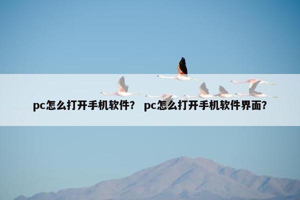 pc怎么打开手机软件？ pc怎么打开手机软件界面？