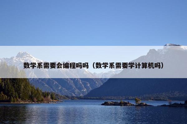 数学系需要会编程吗吗（数学系需要学计算机吗）