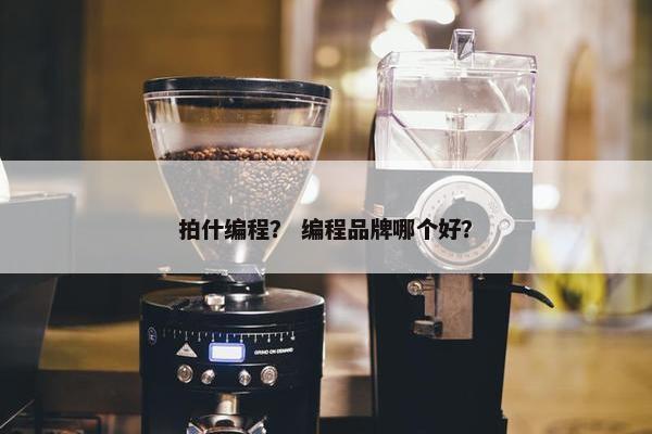 拍什编程？ 编程品牌哪个好？