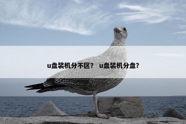 u盘装机分不区？ u盘装机分盘？