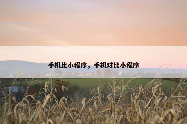 手机比小程序，手机对比小程序