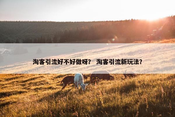 淘客引流好不好做呀？ 淘客引流新玩法？
