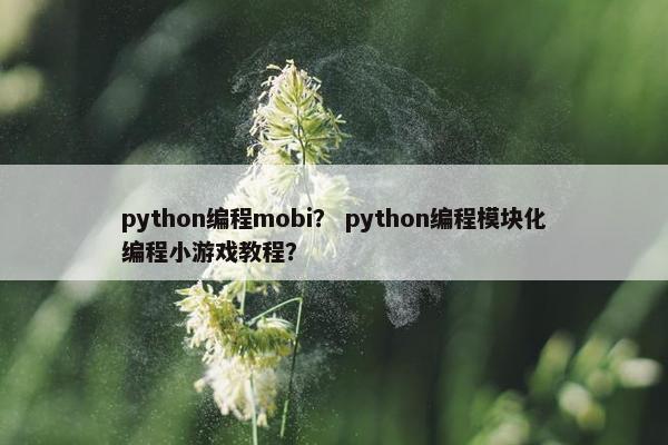 python编程mobi？ python编程模块化编程小游戏教程？