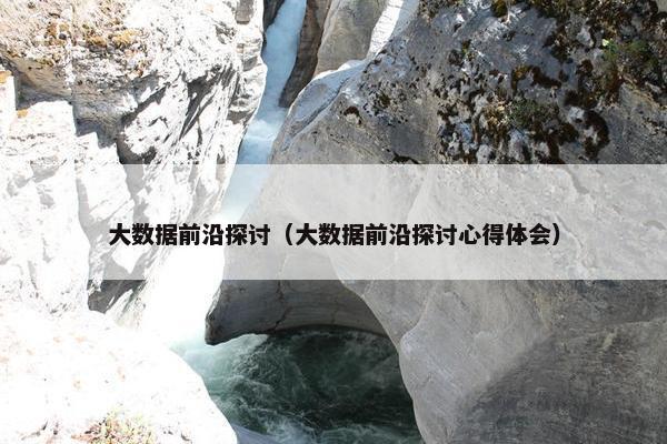大数据前沿探讨（大数据前沿探讨心得体会）