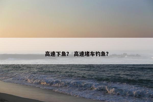 高速下鱼？ 高速堵车钓鱼？