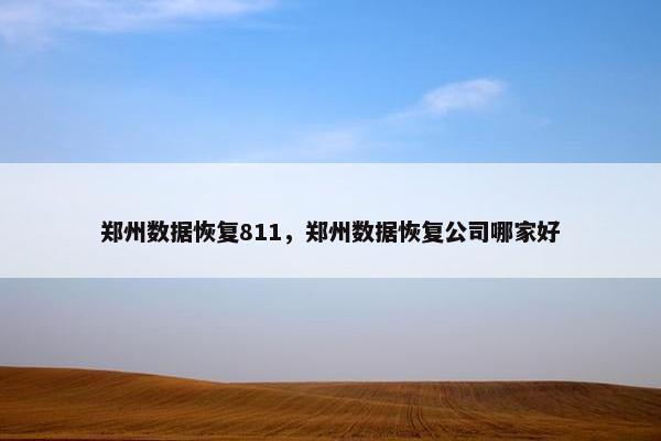 郑州数据恢复811，郑州数据恢复公司哪家好