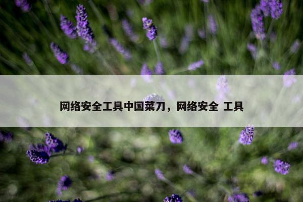 网络安全工具中国菜刀，网络安全 工具