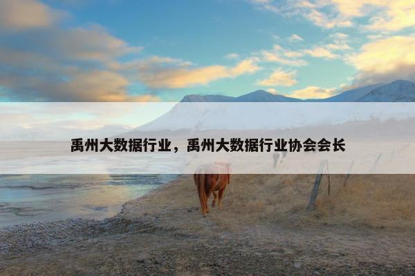 禹州大数据行业，禹州大数据行业协会会长