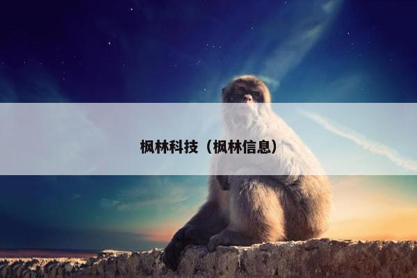枫林科技（枫林信息）