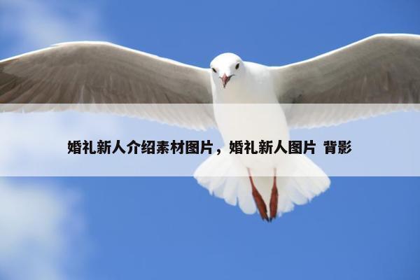 婚礼新人介绍素材图片，婚礼新人图片 背影
