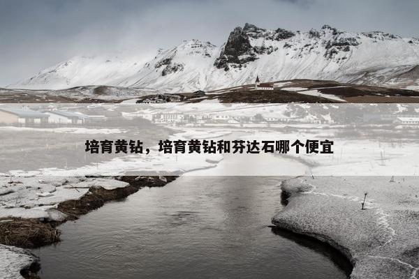 培育黄钻，培育黄钻和芬达石哪个便宜