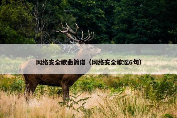 网络安全歌曲简谱（网络安全歌谣6句）