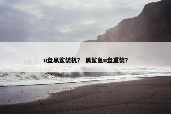 u盘黑鲨装机？ 黑鲨鱼u盘重装？